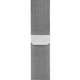 Silver Milanese Loop