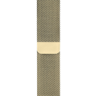 Gold Milanese Loop