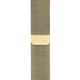 Gold Milanese Loop