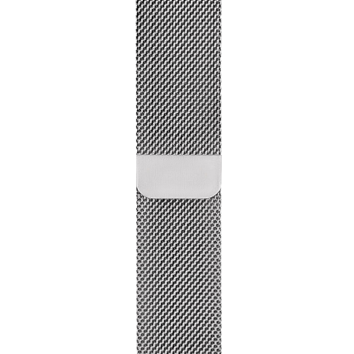 Silver Milanese Loop